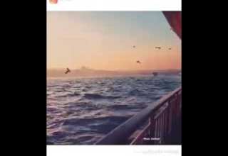 وبينا معاد لو احنا بعاد اكيد راجع ولو بيني وبينا بلادي