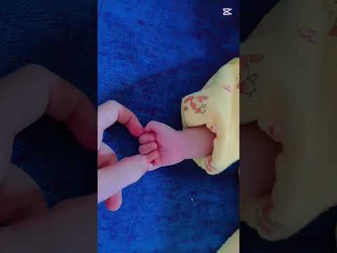 تفاصيلي أيامي وسهري