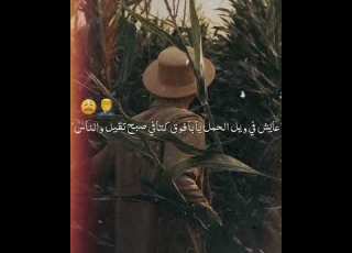عايش فى ويل
