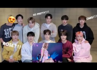The Boyz Reaction To Rose Pretty Savage Coachella Fanmade