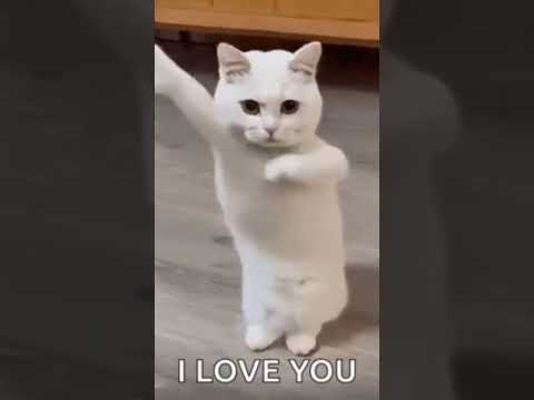 ردي عليا يا بابا