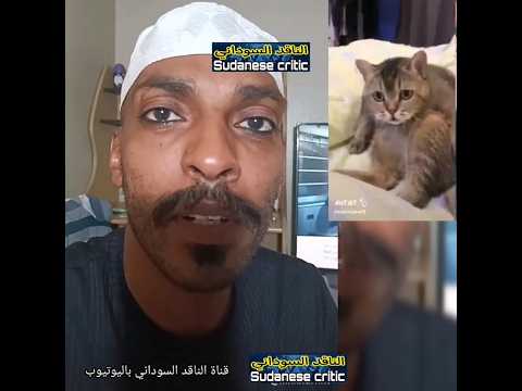 المهدي المنتظر السوداني