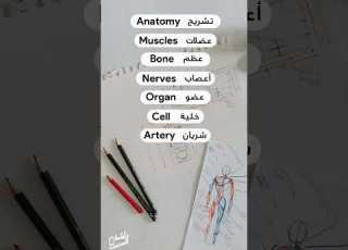 كلمات ستيب عن علم التشريح