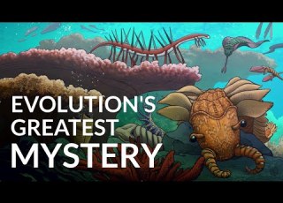 What Caused The Cambrian Explosion