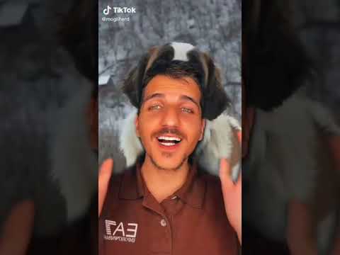 افضل مربي كلاب على تيك توك