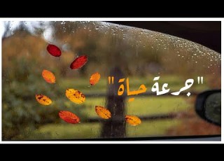  جرعة حياة رشفة حب 10