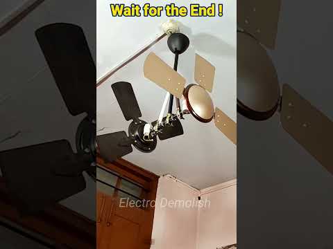 Wait For It Shorts Youtube Trending Viral