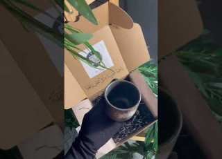  كلام عن القهوة هم الا عشاق القهوة عذرا ايتها انوات فأنا لا اهوي الا القهوة