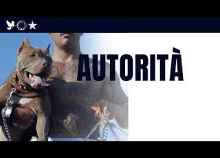  Geolier AUTHORITY Lyric Video