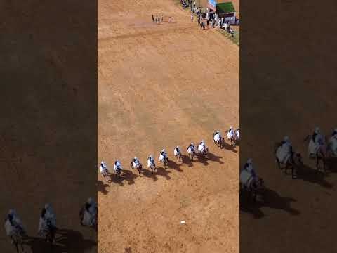 زلزليهم واحرقيهم فرسان الليل