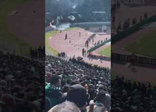رجنا في العالي شامبيونا نجيبو