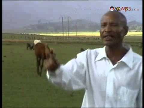 Fandishe Mullata Oromo Music Sumaani Booya