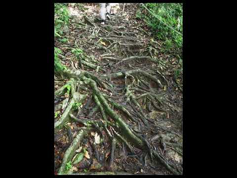 MOGIUM DO TUNDONGI By J Johniu