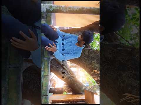 Sun Saathiya Cinematic Shorts ABCD2 Varun Dhawan Shraddha Kapoor Cinematic Shorts Song Sun Saathiya Cinematic Shorts ABCD2 Varun Dhawan Shraddha Kapoor Cinematic Shorts Song