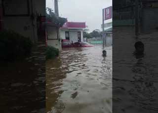 Typhooncarina Calamity Typhooncarina Typhoon Fypyoutube