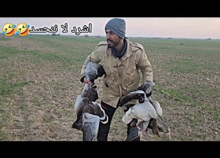  فيديو تفليش لصيد الوز العراقي