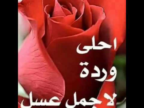 أحمد قسم الله البريدو شاغلني