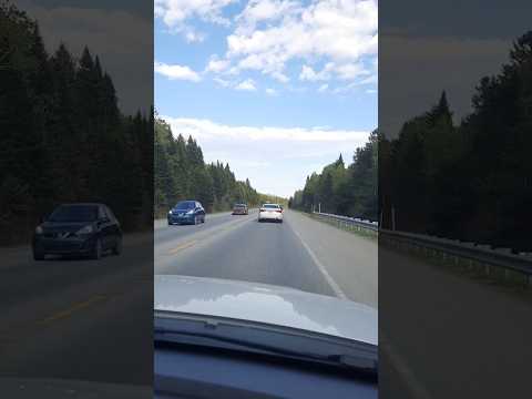 ملكة جمال الكون تامر حسني و الشامي ملكة جمال الكون تامر حسني و الشامي