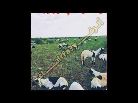 كتبت بالقافية فوق العز اهلي الرفاعه نمه الرفاعي في عز رفاعة دوبيت التكينة