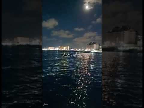 حالات واتس حواديت محمد منير