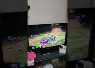 ピクミン2 Pikmin2 青紫50匹でウジンコ を倒す