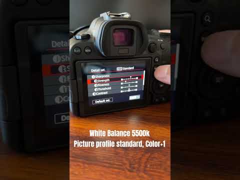 Canon R6ii Picture Profile Setting For My Portraits Photoshoot