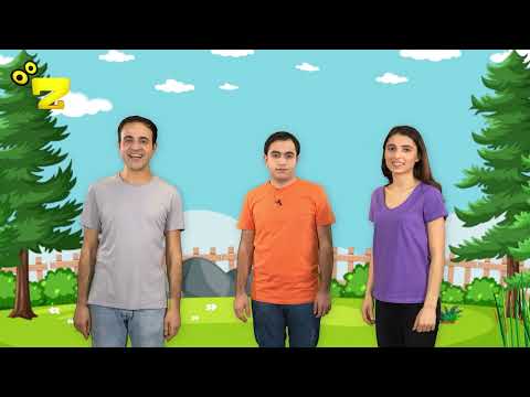 Zarok TV DEMA KURMANCÎYÊ DERS 1 NAVÊ TE ÇI YE