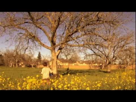 Sherwood Song In My Head Music Video