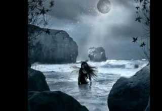 مصيرك حبيبي فضل شاكر