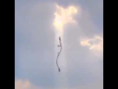 Kama Si Siku Za Mwisho Sijui Nini Hiki