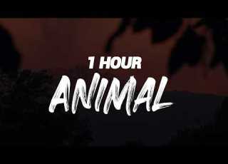  KATSEYE Animal 1 HOUR