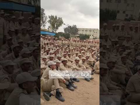 الداخل مفقود والطالع مولود مركز تدريب الرجاله قطاع مبارك