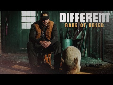 Rare Of Breed DIFFERENT Music Video