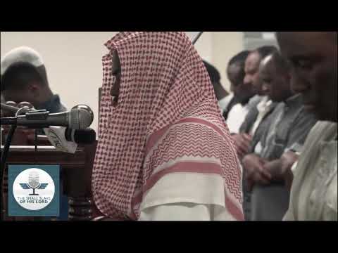 القارئ الشيخ عكاشة كميني تلاوه رائعه جدا بروايه خلاد عن حمزه