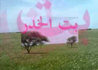 دوبيت الشاعر بيتاي الضو بت الخدر