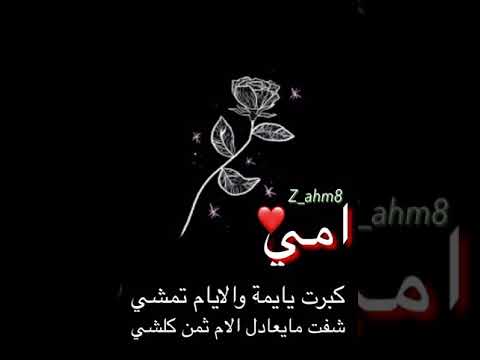 امي ياام الوفا سعدون جابر