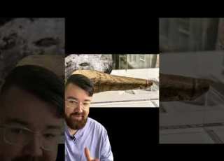 2 000 Year Old Roman Dildo Archaeology Shorts