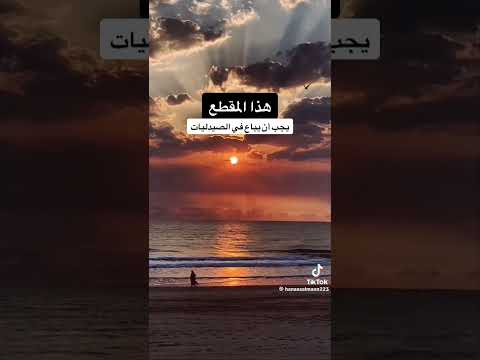 هذه الدنيا كتاب انت فيه الفكر ام كلثوم