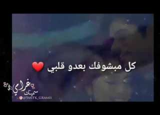 حالات واتس اب مش عم بعرف شو هالحب اشتراك ياحلو
