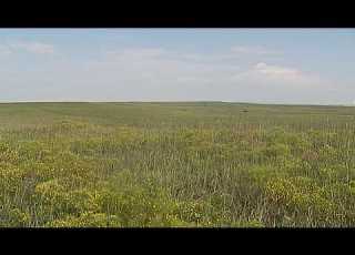 Saving Historic Kansas Prairie Grasslands America S Heartland
