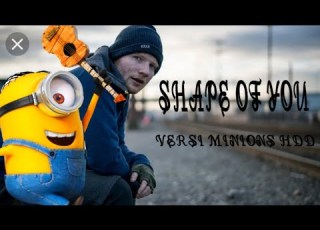 Ed Sheeran Shape Of You Minions Versions HDD 2019
