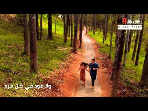 هو روقان في كل سهره حاله حلوه اسر ياسين ومريام فارس حالات واتس رمضان 2021