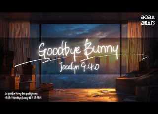 Jocelyn 9 4 0 Goodbye Bunny 我送你Goodbye Bunny 我不再想你 Lyrics Video