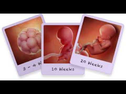 دووگیانی و منداڵ بوون لە خەوندا