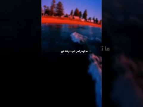 متوجعش راسك بحمير