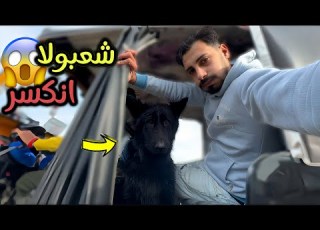  شعبولا رجله اترت