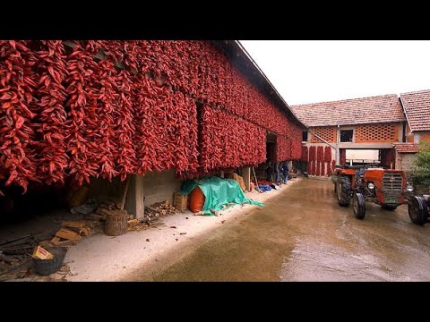 Explore Serbia S Red Village Of Donja Lokošnica And The Unesco Listed Pirot Carpet Craft