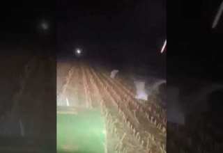 جنی که سرشب تو زمین قدم میزنه