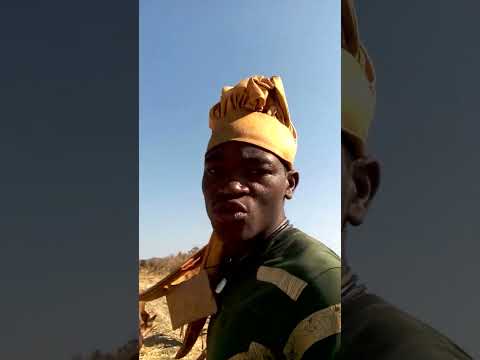 Limbu Luchagula Ft Faiba Machibhula Nelemi