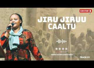  TRACK 01 JIRU JIRUU CAALTU SINGER ALEMITU WAKO OLD ALBUM